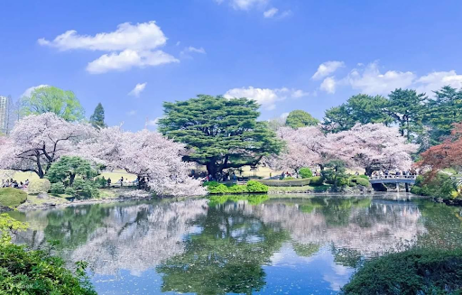 Shinjuku Gyoen National Garden